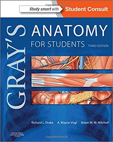 Grays Anatomy for Students international edition