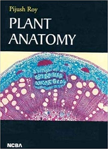 Plant Anatomy