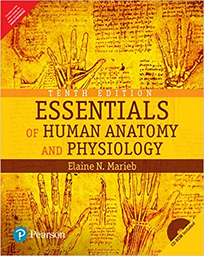 Essentials of Human Anatomy and Physiology