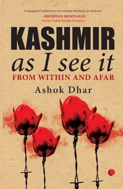 Kashmir As I See It - From within and afar